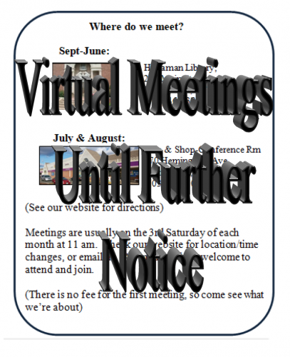 Virtual Meetings until Further Notice